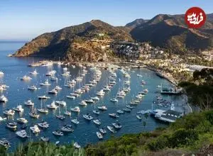 مرد کالیفرنیایی پس از ۳۰ روز سرگردانی در دریا، نجات یافت