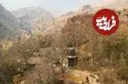 عکس| سفر زمان؛ زن و شوهر سوییسی با قاطر در کوه‌های «دربند»؛ سال 1330