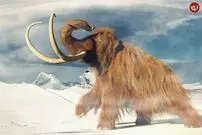 (ویدئو) ۱۰ حیوانی که در طول تاریخ منقرض شدند