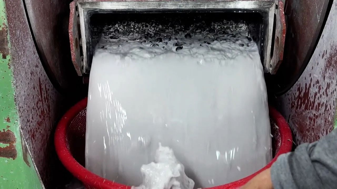 (ویدئو) فرآیند ساخت میلیون ها دکمه با شاخ بوفالو در یک کارخانه مشهور کره ای