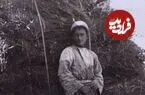 عکس| سفر زمان؛ «گاوهای علوفه‌کش» در یک کوچه خاکی در دوران قاجار