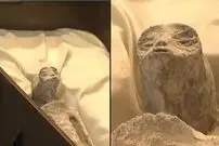 راز اجساد حاشیه‌ساز افشا می‌شود؛ پاسخ دانشمندان به جنجال آدم فضایی‌ها