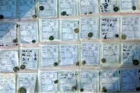 کشف ۱۰۰ سکه تاریخی در کمر‌زرین اصفهان؛ احتمال کشف یک مرکز تجاری باستانی در این منطقه شدت گرفت