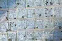 کشف ۱۰۰ سکه تاریخی در کمر‌زرین اصفهان؛ احتمال کشف یک مرکز تجاری باستانی در این منطقه شدت گرفت