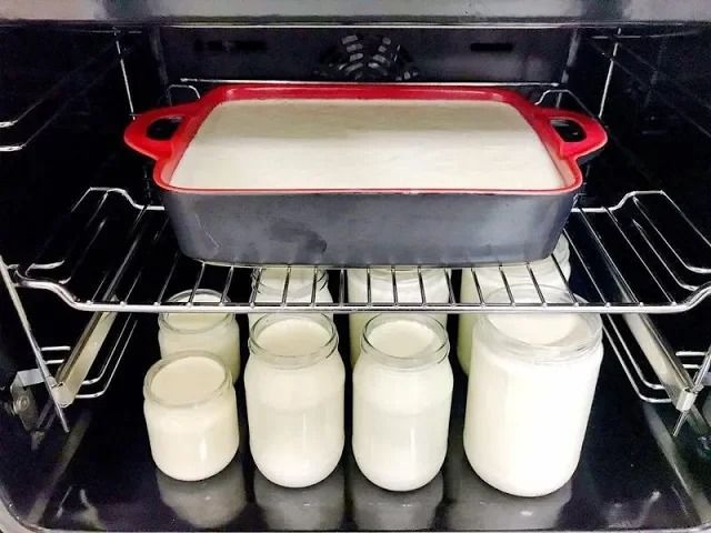 (ویدئو) چگونه با 10 لیتر شیر یک ماست سفت، سخت و خوشمزه خانگی درست کنیم؟
