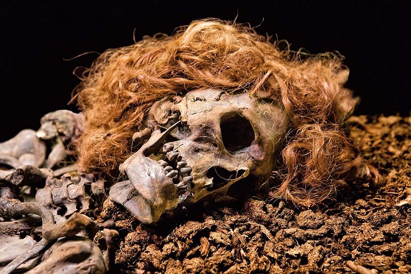بازسازی چهرۀ مردی که ۷۰۰ سال قبل به قتل رسید و در مرداب دفن شد