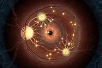 معکوس کردن پیری به زودی شروع می‌شود!