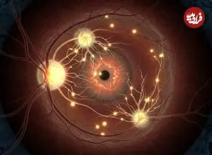 معکوس کردن پیری به زودی شروع می‌شود!