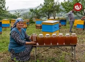 ببینید| غذای روستایی در آذربایجان؛ جمع آوری عسل تازه و پخت کیک با آن در روستا