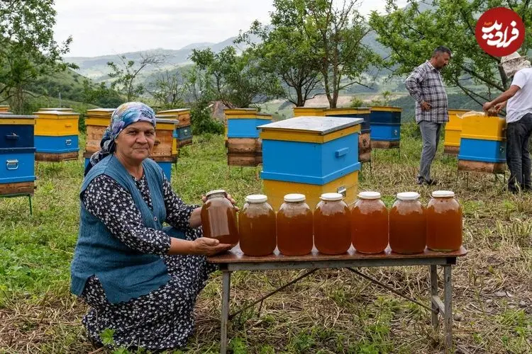 ببینید| غذای روستایی در آذربایجان؛ جمع آوری عسل تازه و پخت کیک با آن در روستا