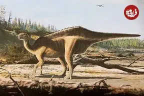 اسرار پنهان از ۱۲۵ میلیون سال پیش از دنیای دایناسورها؛ عجیب‌ترین سلاح دایناسورها برای جذب جفت