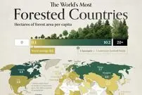 وضعیت کشورهای جهان بر اساس سهم هر نفر از جنگل‌ها + اینفوگرافیک و جایگاه ایران