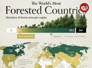 وضعیت کشورهای جهان بر اساس سهم هر نفر از جنگل‌ها + اینفوگرافیک و جایگاه ایران