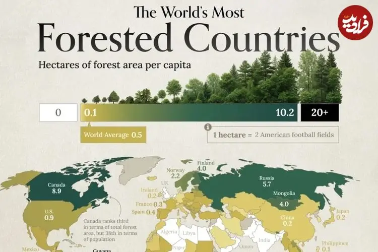 وضعیت کشورهای جهان بر اساس سهم هر نفر از جنگل‌ها + اینفوگرافیک و جایگاه ایران