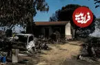 ببینید| دیدار دوباره زن کشاورز با الاغ‌هایش پس از نجات از آتش‌سوزی