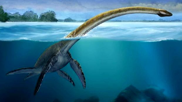( عکس) فسیل هیولای دریایی ۲۵۰ میلیون ساله در چین پیدا شد