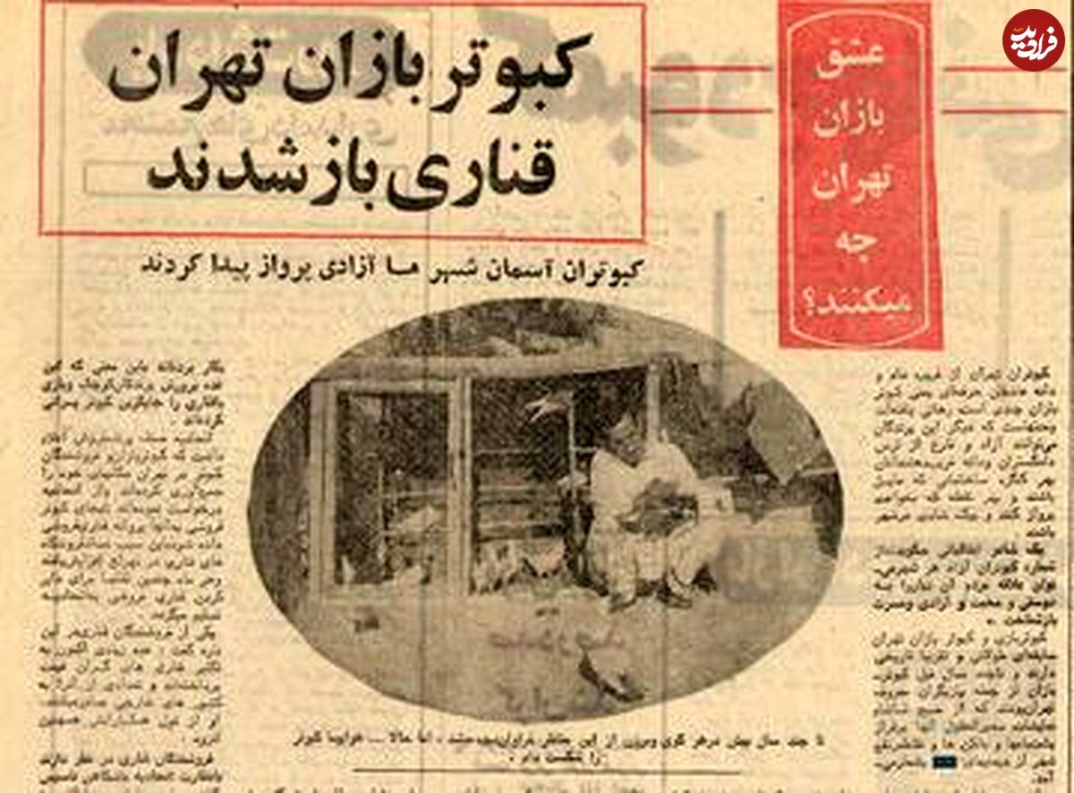 سفر به تهران قدیم؛ کفتر پرانی در تهران ممنوع و کبوترفروشیها ناچار به تغییر کاربری شدند!
