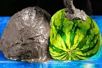 (ویدئو) 30 وسیله ضروری که به راحتی می توانید با سیمان در خانه بسازید