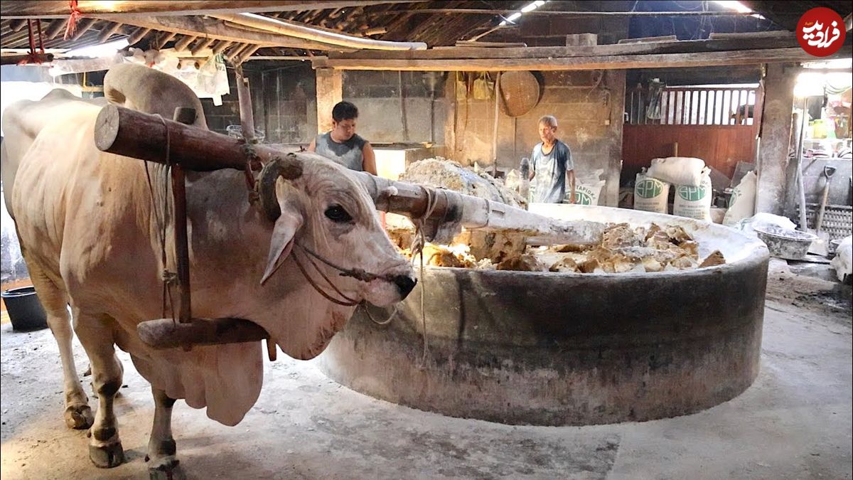 ببینید؛ فرآیند منحصر به فرد تهیه رشته های سنتی با روشی باستانی در اندونزی