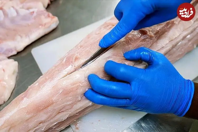 ببینید| غذای خیابانی در تایلند؛ تهیه خوراک کاری با گوشت کروکودیل در بانکوک