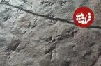 اطلاعاتی جدید از ردپاهای تازه دایناسورها در ایران؛ چرا جزئیات این کشف علمی منتشر نشده است؟
