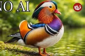 ببینید| 10 گونه از زیباترین و شگفت انگیزترین اردک های جهان