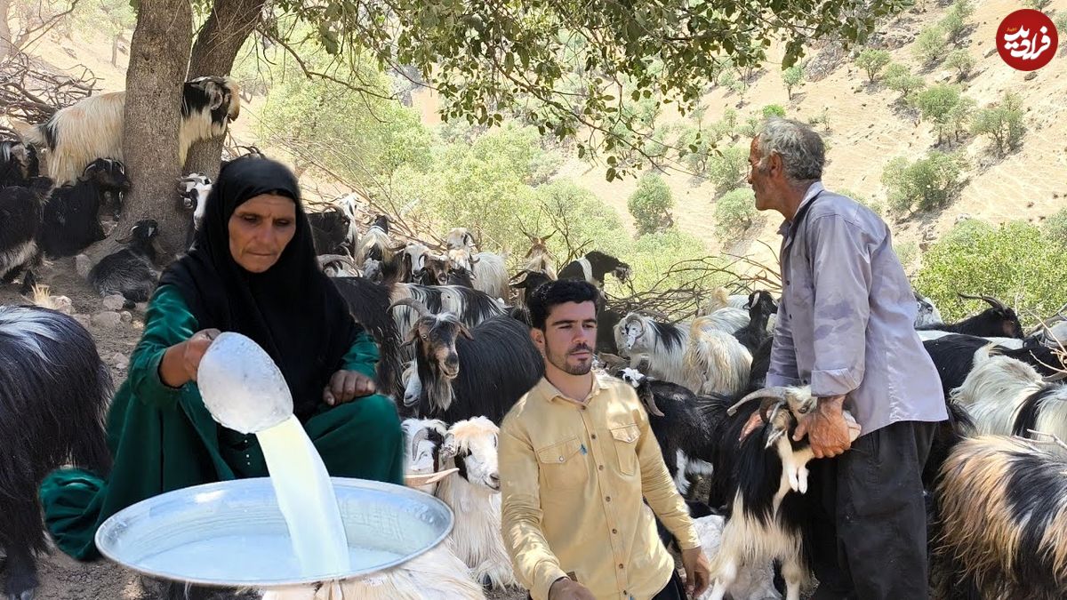 ببینید؛ غذای روستایی در ایران؛ پخت نان تازه محلی در کوه های زاگرس