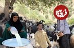ببینید؛ غذای روستایی در ایران؛ پخت نان تازه محلی در کوه های زاگرس