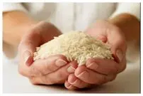 قیمت جدید برنج اعلام شد / برنج ایرانی ارزان شد