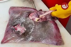 ببینید| غذای خیابانی در کره؛ تهیه کیمچی با سفره ماهی در سئول