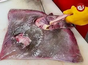 ببینید| غذای خیابانی در کره؛ تهیه کیمچی با سفره ماهی در سئول