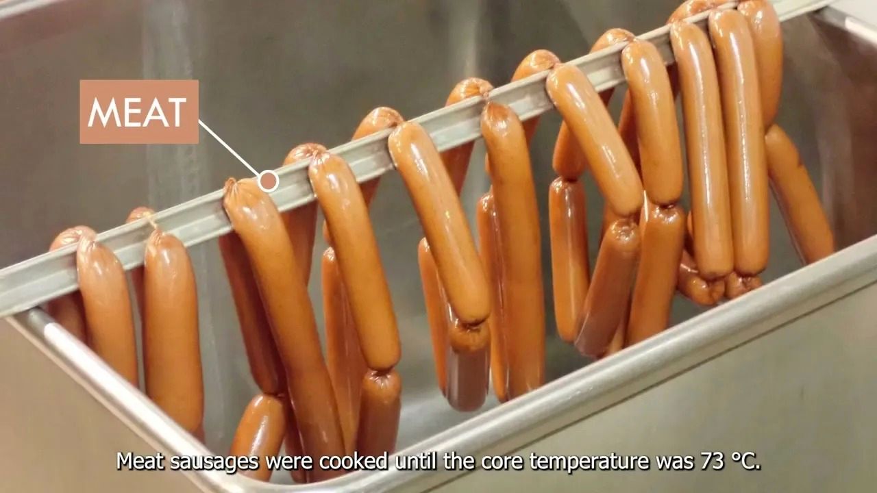 (ویدئو) سوسیس و کالباس مخصوص گیاه‌خوارها به این شکل در کارخانه تولید می شود