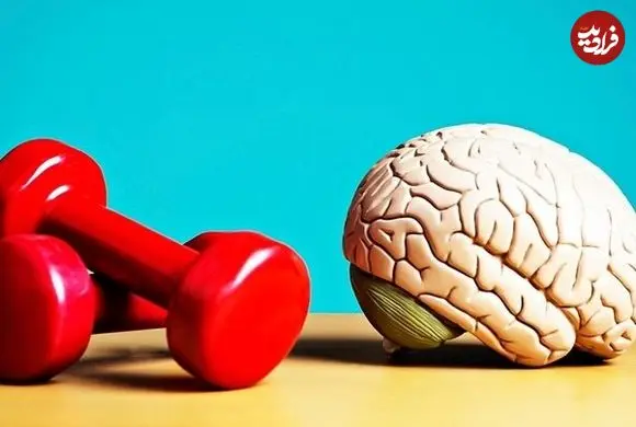 مغز بعد از یک هفته ورزش منظم چه تغییری می‌کند؟
