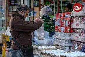 قیمت جدید تخم‌مرغ در بازار اعلام شد