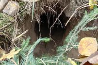 درباره تونل زیرزمینی مهاجران در مرز بلاروس و لهستان چه می‌دانیم؟