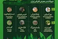 اینفوگرافی؛ حیوانات در معرض انقراض ایران و آسیا را بشناسید