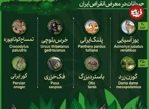 اینفوگرافی؛ حیوانات در معرض انقراض ایران و آسیا را بشناسید