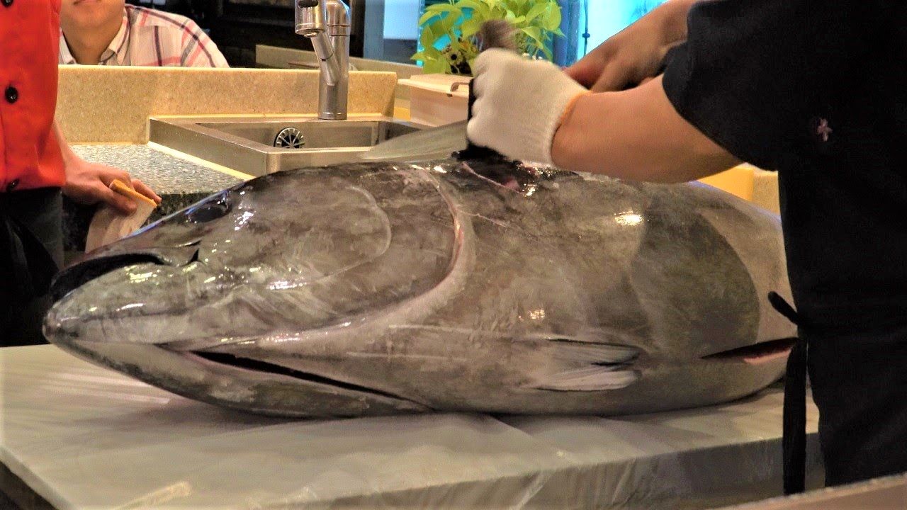 (ویدئو) برش زدن خارق العاده ماهی تن 209 کیلوگرمی به سبک استاد مشهور کره ای