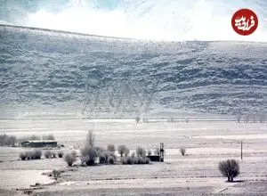 ببینید؛ برف این شهر ایران را کاملا سفیدپوش کرد؛ لحظات زیبای بارش برف را ببینید