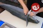ببینید؛ فرآیند فیله کردن ماهی سالمون و تهیه ساشیمی با آن توسط آشپز تایوانی 