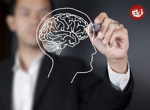 سکوت کنید تا مغزتان سلامت بماند