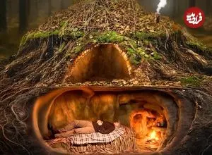 ببینید| مراحل دیدنی ساخت یک پناهگاه در زیر یک درخت در جنگل های اوکراین