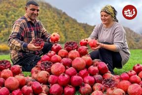 ببینید؛ غذای روستایی در آذربایجان؛ برداشت انار از جنگل و تهیه مربا با آن