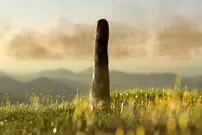 جاندار ناشناختۀ 8 متری که 400 میلیون سال پیش روی زمین رشد می‌کرد