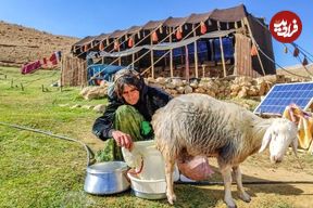 ببینید؛ غذای روستایی در ایران؛ تهیه پنیر از شیر تازه بز