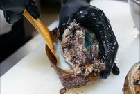 ببینید| غذای خیابانی در ژاپن؛ تهیه سوشی با ماهی، صدف و برنج در اوکیناوا