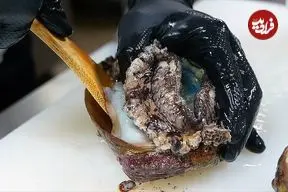 ببینید| غذای خیابانی در ژاپن؛ تهیه سوشی با ماهی، صدف و برنج در اوکیناوا