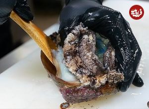 ببینید| غذای خیابانی در ژاپن؛ تهیه سوشی با ماهی، صدف و برنج در اوکیناوا