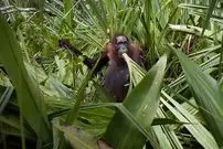 عکس‌های شگفت‌انگیز طبیعت که برندۀ جایزه عکاسی شدند