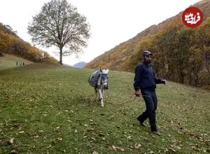 تصاویر؛ طبیعت پاییزی روستای نمنق